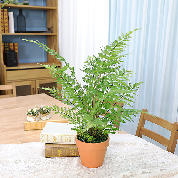 인테리어 인조나무 조화 화분 토분 루모라고사리 70cm
