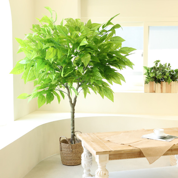 조화나무 인테리어 소원나무 조경 인조목 과일 Y형 망고나무 180cm
