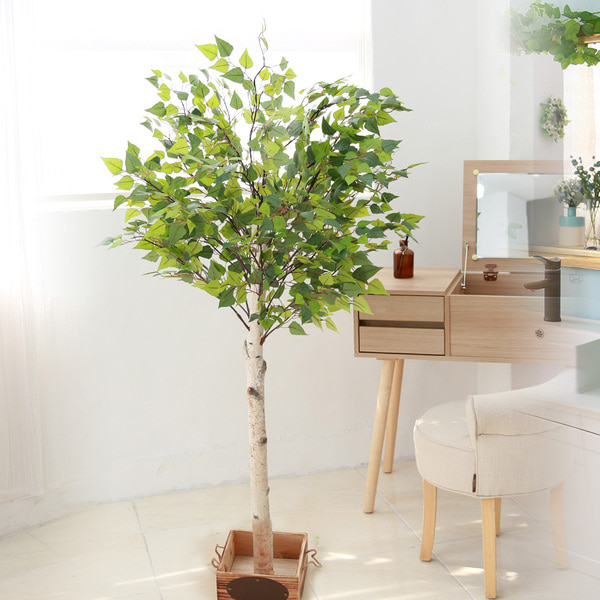인조나무 조화나무 화분 장식 소원 자작나무 150cm