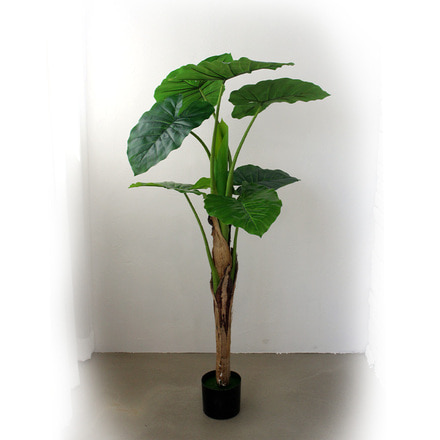 인조나무 조화 화분 클래식 알로카시아 120cm(7잎)